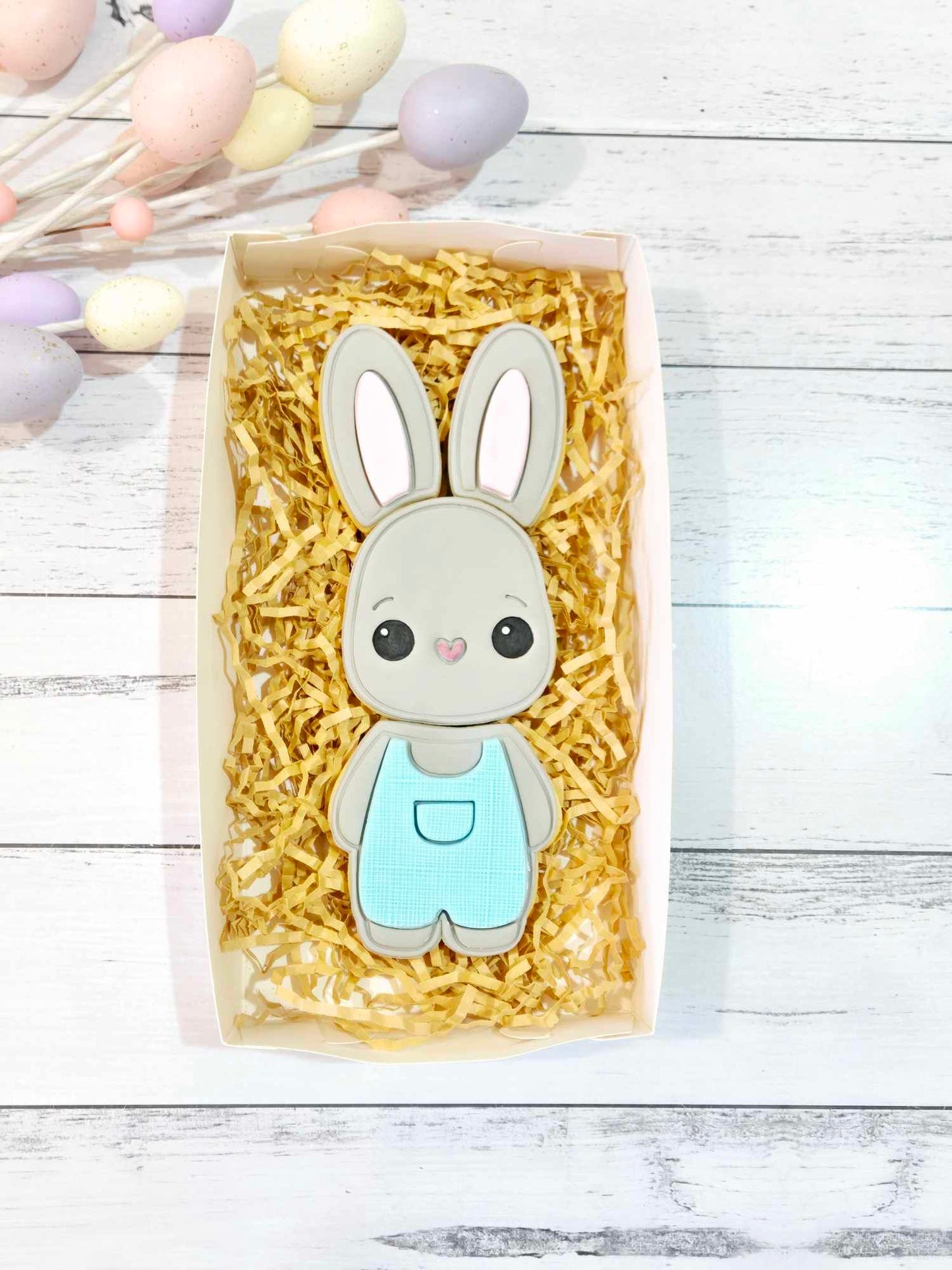 Boy Bunny Box