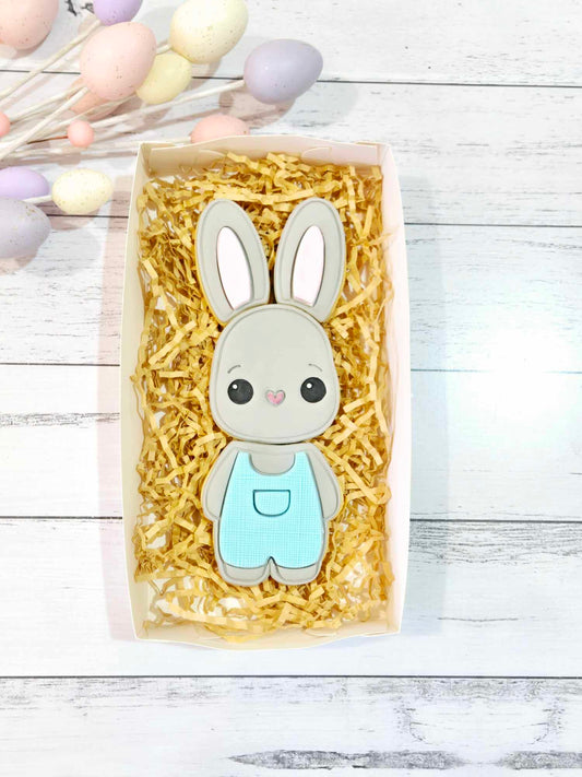 Boy Bunny Box