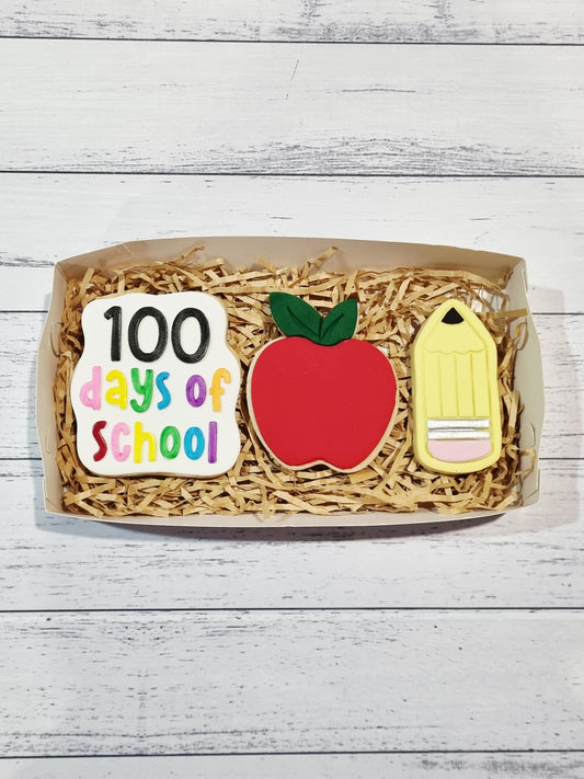 100 Days of School